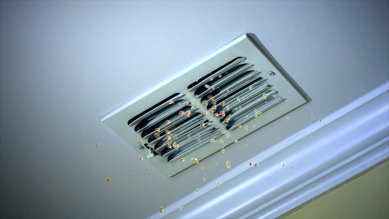 Air Duct Mold Removal in Covington, LA
